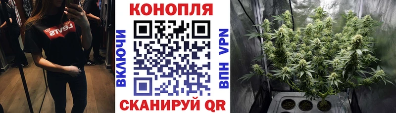 МАРИХУАНА планчик  Советская Гавань 